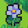 A Flax Flower found on Earth Island