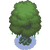 PoisonTree.png